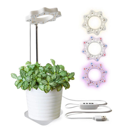 Seed N Sprout Bloomie Indoor Grow Light